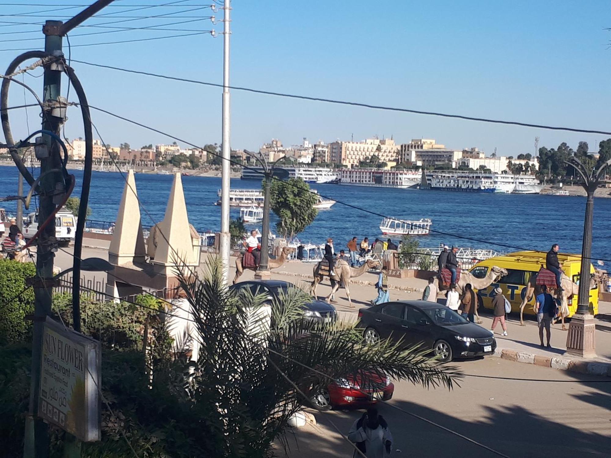 Sunflower Guest House Luxor West Bank エクステリア 写真