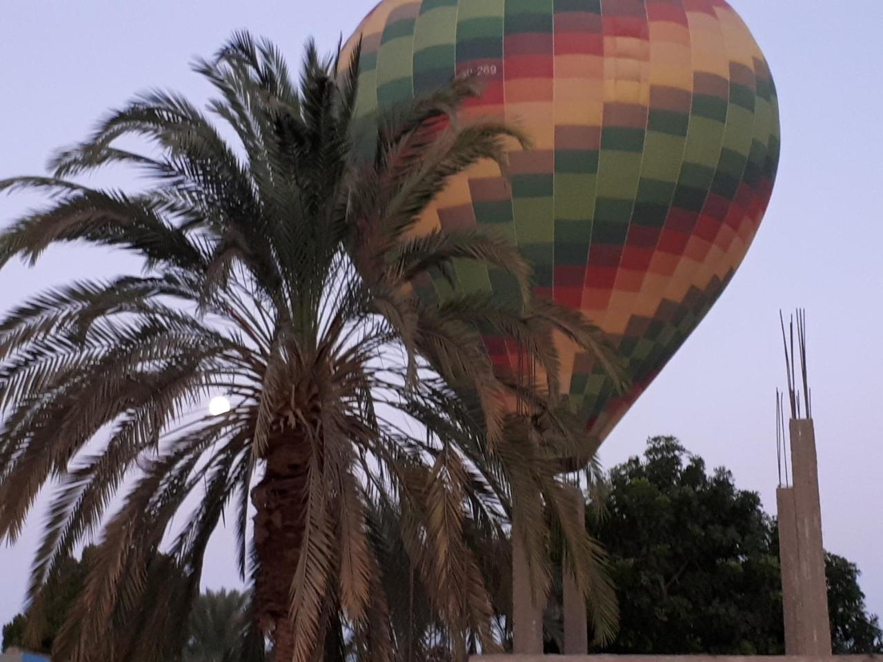 Sunflower Guest House Luxor West Bank エクステリア 写真