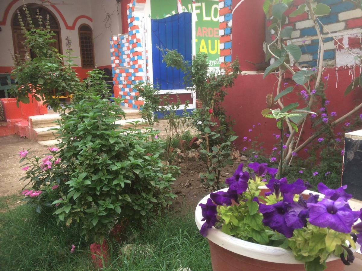 Sunflower Guest House Luxor West Bank エクステリア 写真